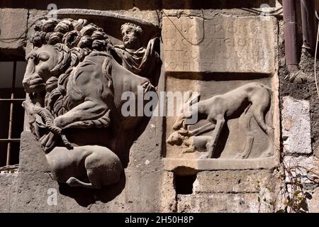 Italia, Roma, Ghetto Ebraico, via del Portico d'Ottavia, casa di Lorenzo Manilio, frammento di sarcofago romano con leone e bassorilievo con cervo Foto Stock