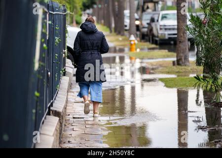 Charleston, Stati Uniti. 05 novembre 2021. Una giovane donna si fa strada intorno alle acque alluvionali su un passaggio pedonale nella storica area di Battery Street dopo che le alluvioni del tempo secco hanno colpito l'area del centro città il 5 novembre 2021 a Charleston, South Carolina. Il cambiamento climatico e l'aumento del livello del mare hanno aumentato le inondazioni di 10 volte negli ultimi dieci anni lungo la costa di Charleston. Credit: Richard Ellis/Richard Ellis/Alamy Live News Foto Stock