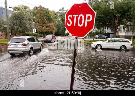 Charleston, Stati Uniti. 05 novembre 2021. Le auto si contendono con un incrocio allagato nella storica area del villaggio di Harleston dopo che le alluvioni del tempo secco hanno effettuato la costa 5 novembre 2021 a Charleston, Carolina del Sud. Il cambiamento climatico e l'aumento del livello del mare hanno aumentato le inondazioni di 10 volte negli ultimi dieci anni lungo la costa di Charleston. Credit: Richard Ellis/Richard Ellis/Alamy Live News Foto Stock