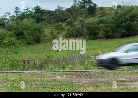 Salvador, Bahia, Brasile - 08 ottobre 2015: Auto in movimento sulla strada che collega le città di Salvador e Feira de Santana. Foto Stock