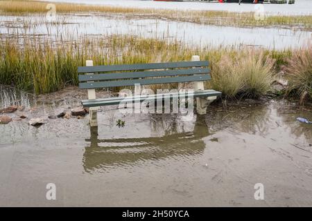 Charleston, Stati Uniti. 05 novembre 2022. Una panchina del parco si trova circondata da acque alluvionali consumate dalla palude di sale dopo l'inondazione di tempo secco effettuata il centro storico 5 novembre 2021 a Charleston, South Carolina. Il cambiamento climatico e l'aumento del livello del mare hanno aumentato le inondazioni di 10 volte negli ultimi dieci anni lungo la costa di Charleston. Credit: Richard Ellis/Richard Ellis/Alamy Live News Foto Stock