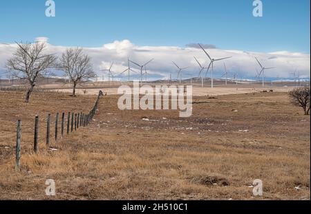 Mulini a vento che generano energia elettrica ai piedi delle Montagne Rocciose vicino a Fort Macleod, Alberta, Canada Foto Stock