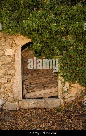 Un'antica porta di legno in un edificio in pietra nel villaggio storico di Dobrinj collina sull'isola di Krk nella contea di Primorje-Gorski Kotar, nella Croazia occidentale Foto Stock