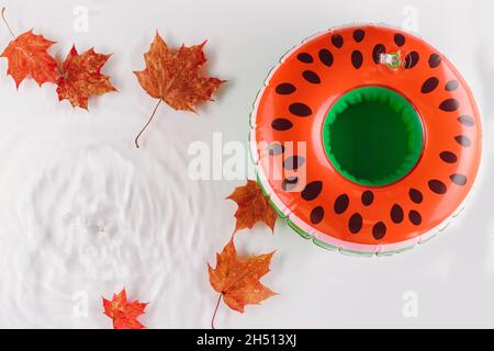 Arrivederci, sfondo estivo. Cocomero salvagente in una piscina con foglie d'acero autunnali su una superficie. Spazio di copia Foto Stock