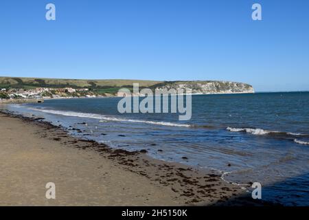 Swanage Bay con alghe marine sulla spiaggia Foto Stock