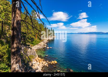 Lago Tahoe dal Rubicon Trail, DL Bliss state Park, California USA Foto Stock