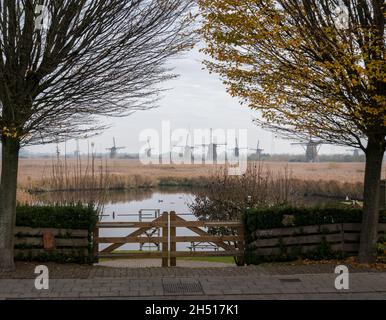 Ammira gli alberi di mulini a vento in lontananza a Kinderdijk, Paesi Bassi Foto Stock
