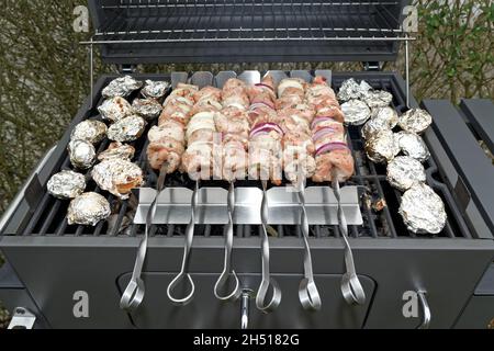 Shashlik marinato o shish kebab preparazione al grill su carbone. Lo shashlik è molto popolare nell'Europa orientale. La carne di Shashlyk o spiedini era originale Foto Stock