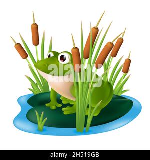 Una rana verde seduta su un giglio in uno stagno con canne in erba palude. Illustrazione vettoriale di un personaggio cartoon in un arbusto di bulrush isolato Illustrazione Vettoriale
