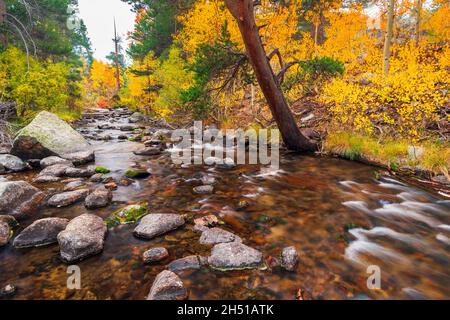 Colore caduta lungo Bishop Creek, Inyo National Forest, California Stati Uniti Foto Stock