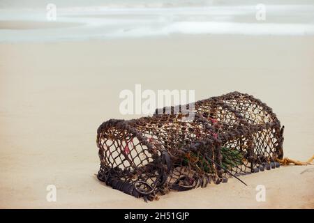 Una trappola di aragosta scartata o un vaso lavato a terra su una spiaggia Foto Stock