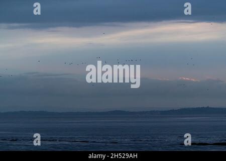 Nightfall alla bocca di Usk e il canale di Bristol, Galles. REGNO UNITO. Foto Stock