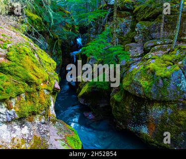 Valalanche Creek che attraversa la Gola di Avalanche nella McDonald Valley, Glacier National Park, Montana, USA Foto Stock