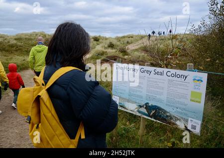 Una donna che legge il segno a Horsey grigio foil colonia luogo norfolk Horsey Bay inghilterra Regno Unito Foto Stock
