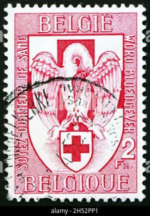 BELGIO - CIRCA 1956: Un timbro stampato in Belgio dedicato al servizio di donazione di sangue della Croce Rossa belga, pellicano che dà il sangue ai giovani, circa 1956 Foto Stock