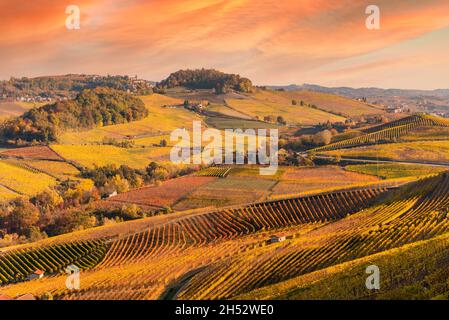 Paesaggio sulle colline del Barolo, Langhe, Italia, con i raffinati vigneti di uve Nebbiolo in autunno su un cielo dai caldi colori del tramonto Foto Stock