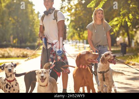 Professional walkers cane godendo nel camminare con i cani all'esterno. Foto Stock