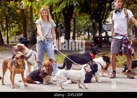 Giovani escursionisti che camminano cani insieme nel parco Foto Stock