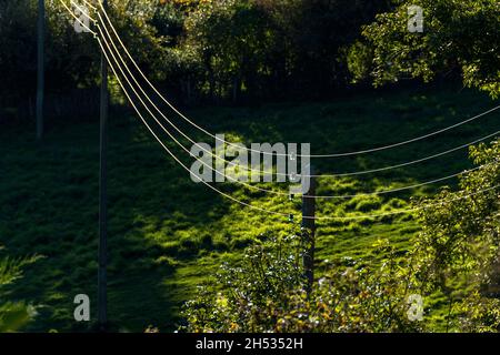 La luce del sole proietta ombre sull'erba verde sotto le linee elettriche in un tranquillo paesaggio rurale catturato in autunno, Alvernia Rodano Alpi, Francia Foto Stock