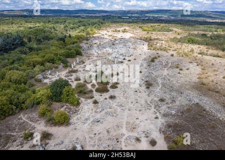 Veduta aerea di Pobiti Kamani - pietre piantate anche chiamato deserto di pietra, fenomeno roccioso tipo deserto nella provincia di Varna in Bulgaria Foto Stock
