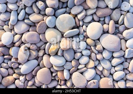 Molte dimensioni diverse di ciottoli da spiaggia e ciottoli multicolore su una spiaggia di ciottoli Inghilterra UK Foto Stock