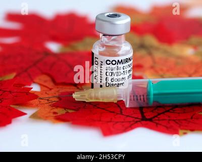 Comirrnaty Biontech Pfizer fiala di vaccinazione con una siringa contro il virus covid-19 o Corona su foglietti rossi Foto Stock