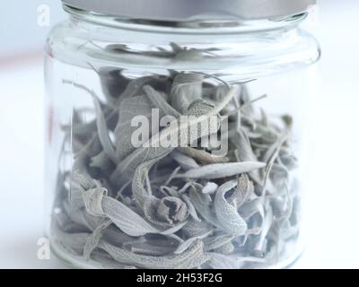 Medicina naturale: Primo piano di foglie di salvia essiccate contro l'influenza Foto Stock