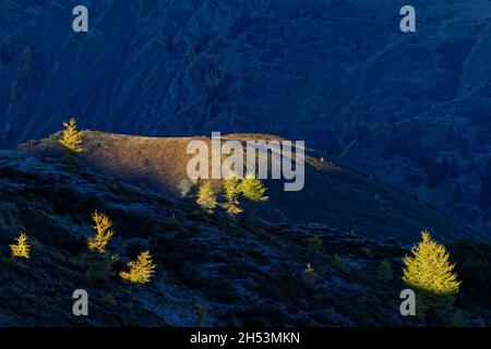 Il sole sorge sulla cima di larici con luci e ombre sulle colline circostanti Foto Stock