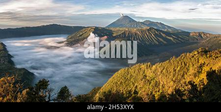 Panorama sul Parco Nazionale bromo-Tengger-Semeru all'alba, Giava Orientale, Indonesia Foto Stock