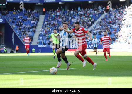 Barcellona, Spagna. 6 novembre 2021. Spagnolo Liga Santander tra Espanyol vs Granada al RCDE Stadium, 06 2021 novembre, Barcellona, Spagna Credit: CORDON PRESS/Alamy Live News Foto Stock