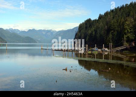 Un molo per imbarcazioni sul lago Pitt, uno dei laghi di marea più grandi del mondo, e le montagne della catena Garibaldi, Pitt Meadows, British Columbia, Canada. Foto Stock