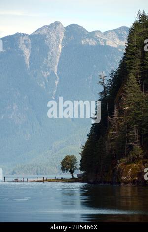 Pitt Lake, uno dei più grandi laghi di marea del mondo, e le montagne della catena Garibaldi, vicino a Pitt Meadows, British Columbia, Canada. Foto Stock