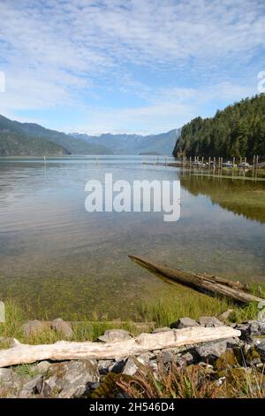 Un molo per imbarcazioni sul lago Pitt, uno dei laghi di marea più grandi del mondo, e le montagne della catena Garibaldi, Pitt Meadows, British Columbia, Canada. Foto Stock