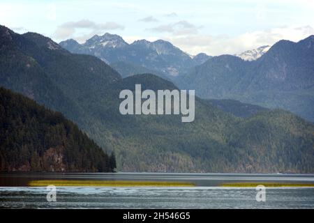 Pitt Lake, uno dei più grandi laghi di marea del mondo, e le montagne della catena Garibaldi, vicino a Pitt Meadows, British Columbia, Canada. Foto Stock