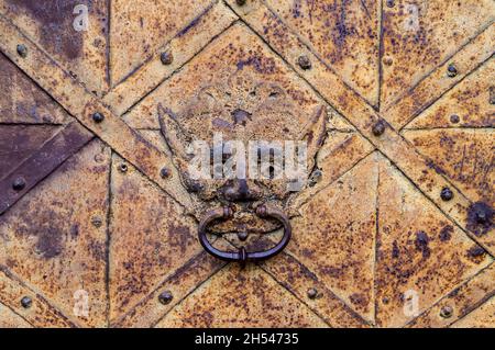 Frammento di una vecchia porta di ferro arrugginita con un battente a forma di testa di leone. Porta in ferro battuto al castello. Medievale Foto Stock