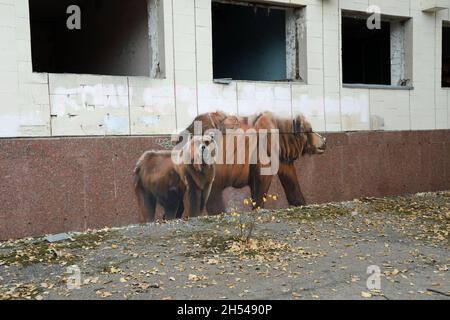 Opera Graffiti a Pripyat nella zona di esclusione di Chernobyl Foto Stock