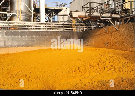 Distillatori umidi o chicchi di torta umidi presso Adkins Energy ethanol Plant che trasforma il mais in etanolo e altri prodotti a base di mais, Lena, Illinois, USA Foto Stock