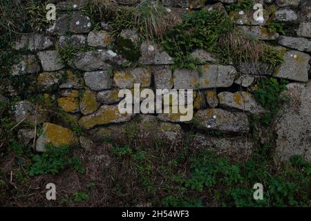 Dry Stone Wall dettaglio, Zennor, Cornovaglia, Regno Unito Foto Stock