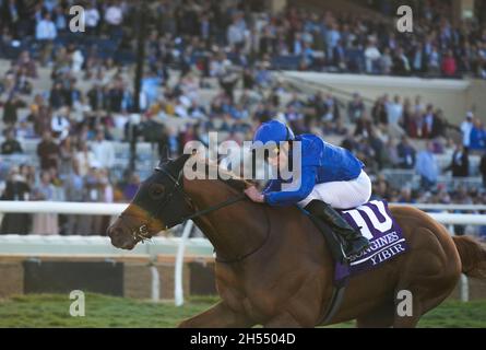 Del Mar, California, Stati Uniti. 6 novembre 2021. Yibir (GB), guidato da William Buick, vince la Longines Breeders' Cup Turf sul Breeders' Cup Championship Sabato al del Mar Thoroughbred Club il 6 novembre 2021: A del Mar, California. Shamela Hanley/Breeders' Cup/Eclipse Sportswire/CSM/Alamy Live News Foto Stock