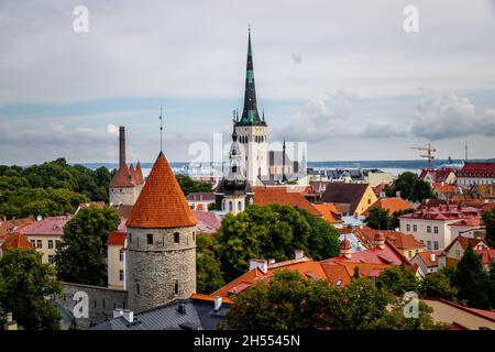 Tallinn capitale dell'Estonia viaggio 2021 Foto Stock