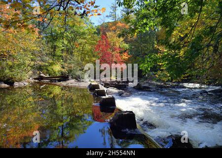 Warner, New Hampshire, Stati Uniti. Il fiume Warner riflette i colori del passaggio dall'estate all'autunno nelle sue acque sopra le Cascate Waterloo. Foto Stock