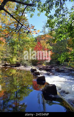 Warner, New Hampshire, Stati Uniti. Il fiume Warner riflette i colori del passaggio dall'estate all'autunno nelle sue acque sopra le Cascate Waterloo. Foto Stock