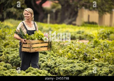 Agricoltore biologico autosufficiente che detiene una scatola piena di prodotti freschi raccolti nella sua fattoria. Felice agricoltore femmina sorridendo allegro mentre si cammina attraverso Foto Stock