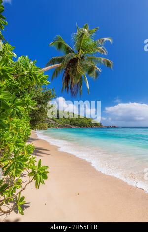 Sunny Beach Foto Stock