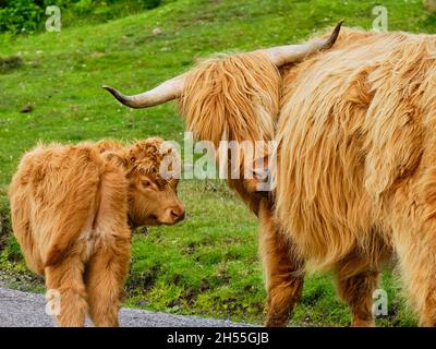 Guardando indietro Foto Stock