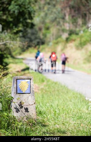 Un pellegrini che camminano attraverso la via di San Giacomo , Camino de Santiago , segno conchiglie segno a Compostela Cattedrale, Galizia, Spagna. Persone fuori fuoco, non Foto Stock