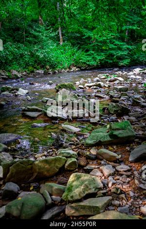 Escursioni con Leila il Chihuahua attraverso la Valle dei serpenti Fattendorf bassa Baviera Germania Foto Stock