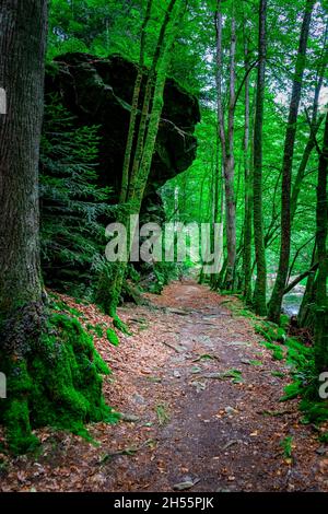 Escursioni con Leila il Chihuahua attraverso la Valle dei serpenti Fattendorf bassa Baviera Germania Foto Stock