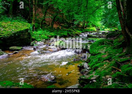 Escursioni con Leila il Chihuahua attraverso la Valle dei serpenti Fattendorf bassa Baviera Germania Foto Stock