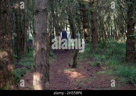 Camminatore di cani nella riserva naturale di Kirconnel Flow, Dumfries, Scozia sudovest Foto Stock